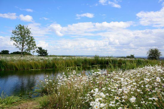 Stanmore County Park